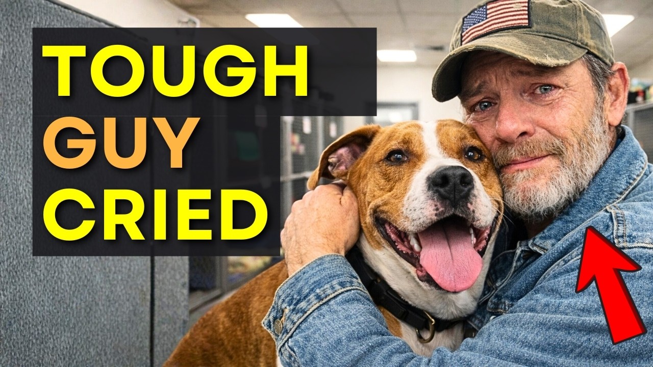 Blindfolded Veterans Let Shelter Dogs Choose Who They Trust 💔
