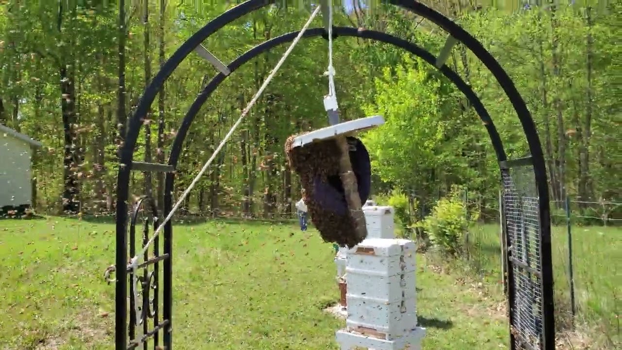 Swarm Gathering