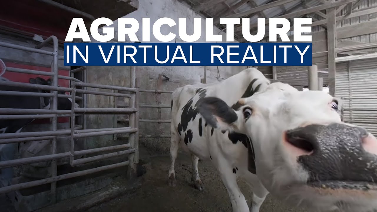 Agriculture in VR