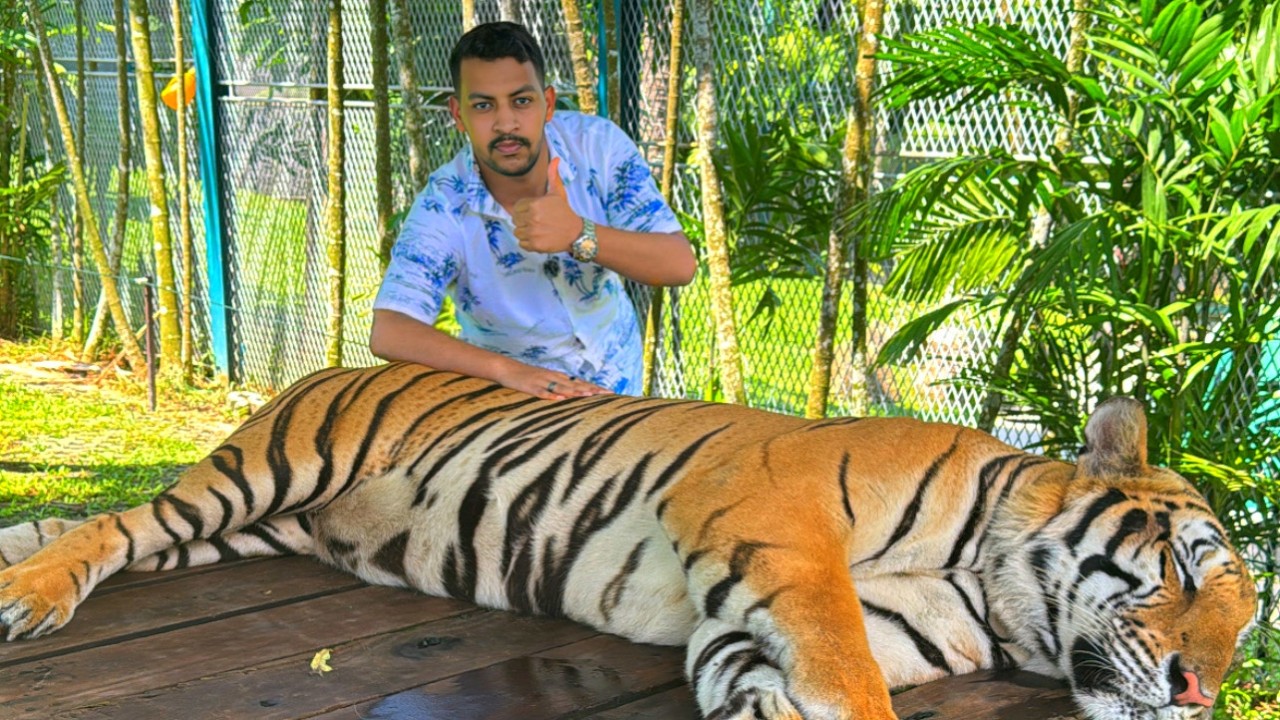 تجربة مختلفة في حديقة النمور والبوذا #5 🐅 🇹🇭