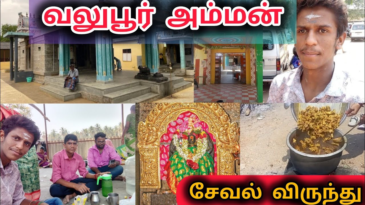 வலுப்பூரம்மனுக்கு சேவல் 🐓 அடசல் போட வந்துருக்கோம்|VALLUURAMMAN TEMPLE NON VEG FEAST|#Ns vlogs