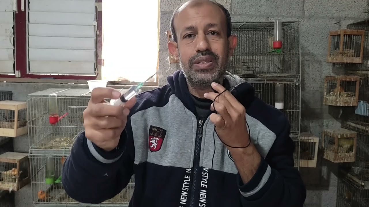 فاش في أحد الأعشاش فترة فطام الفروخ #لا_ترتبك_لاتتهور_لا_تتسرع_تعامل_بهدوء