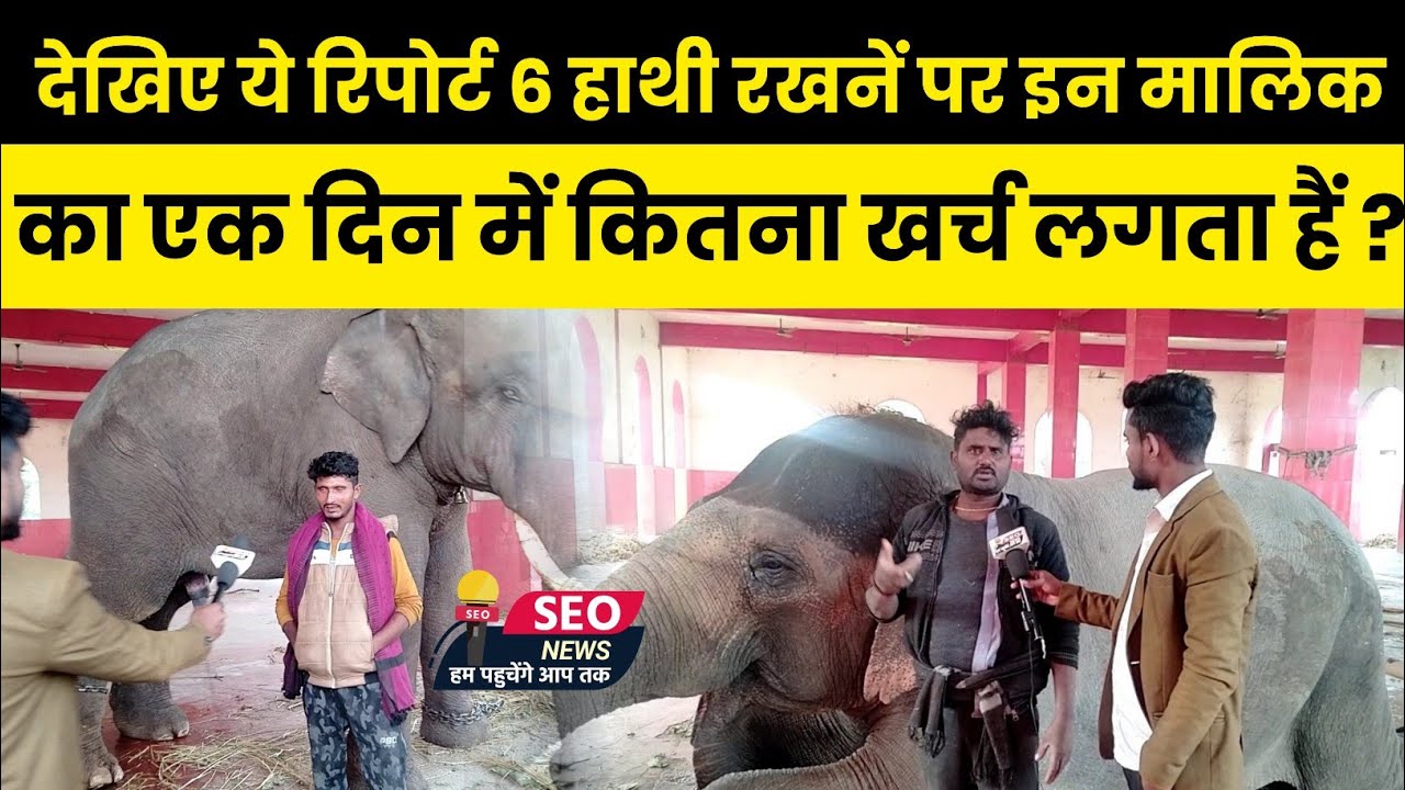 आखिर हाथी क्यों पागल हो जाती है जानिए यूपी बिहार के सबसे बड़े हाथी महल के पीलवान से