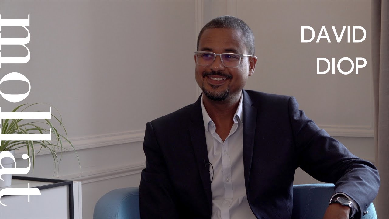David Diop - La porte du voyage sans retour ou Les cahiers secrets de Michel Adanson