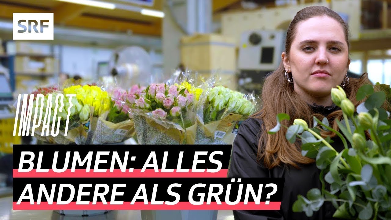 Umweltsünder Blumen – Darf man jetzt keine Blumensträusse mehr kaufen? | Impact | SRF