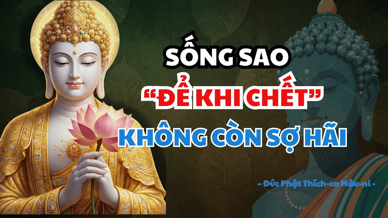 Sống Sao Để Khi Chết, Không Cảm Thấy Sợ Hãi - Những Điều Ít Ai Nói Tới Khi Còn Sống | Lời Phật Dạy