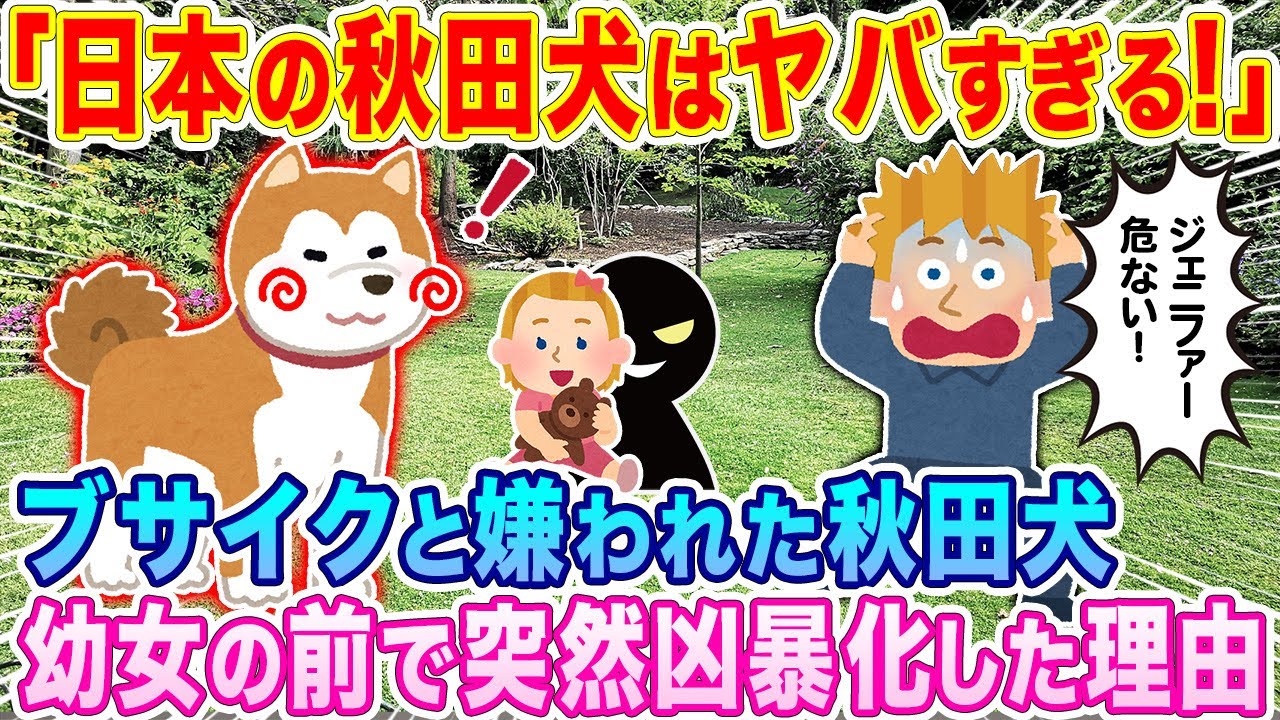 「日本の秋田犬はヤバすぎる！」ブサイクと嫌われた秋田犬が幼女の前で突然凶暴化した理由…【海外の反応】【ゆっくり解説】
