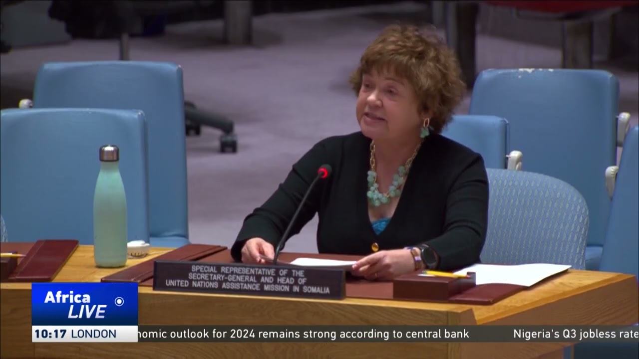 UNSOM's head hails country's emergence from prolonged conflict
