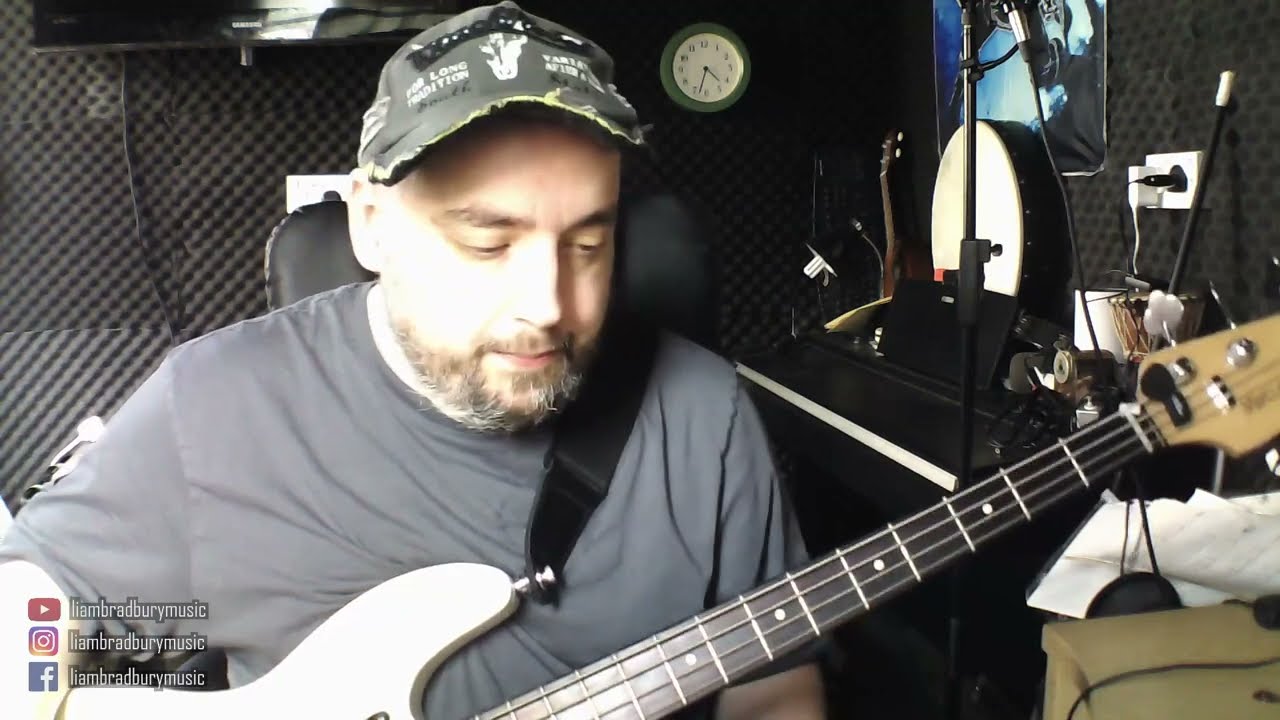 🎸 
