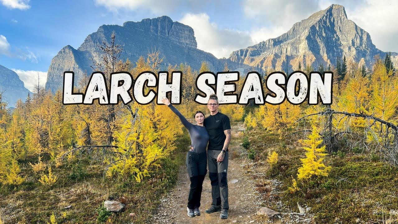 Banff&rsquo;s prettiest hike!? Larch season - Saddleback Pass - Banff Lake Louise - Banff National Park