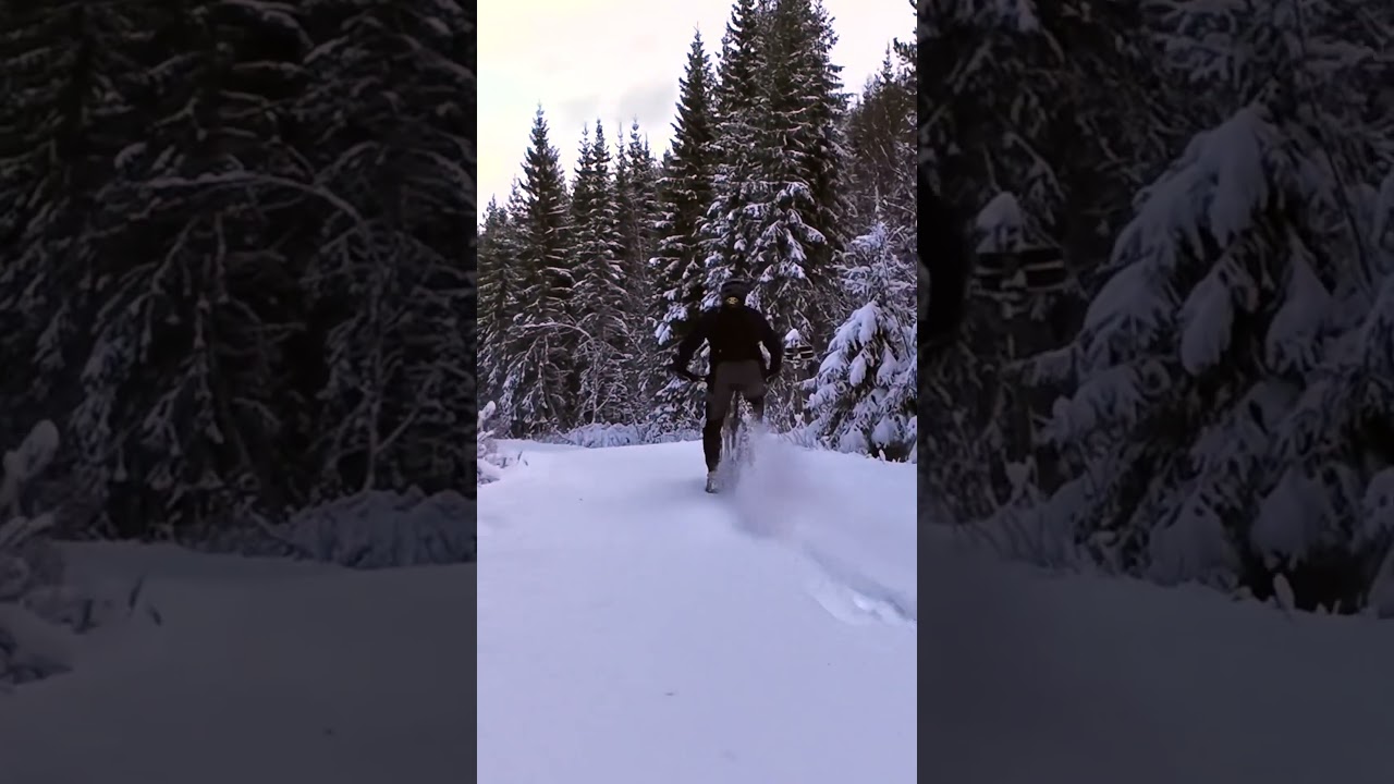 Снежная буря приближается к Ульвосену 🌬️ 