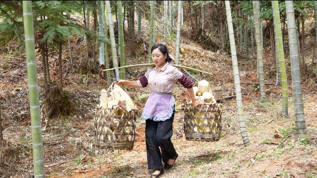Spring Bamboo Shoots Digging挖春筍|山裡的毛竹筍蠢蠢欲動，舌尖的春天從沉浸式挖筍開始，聽著連串的咔嚓聲，解壓又治愈，是舌尖上的美味，也是大自然的饋贈。鄉愁沈丹ShenDan