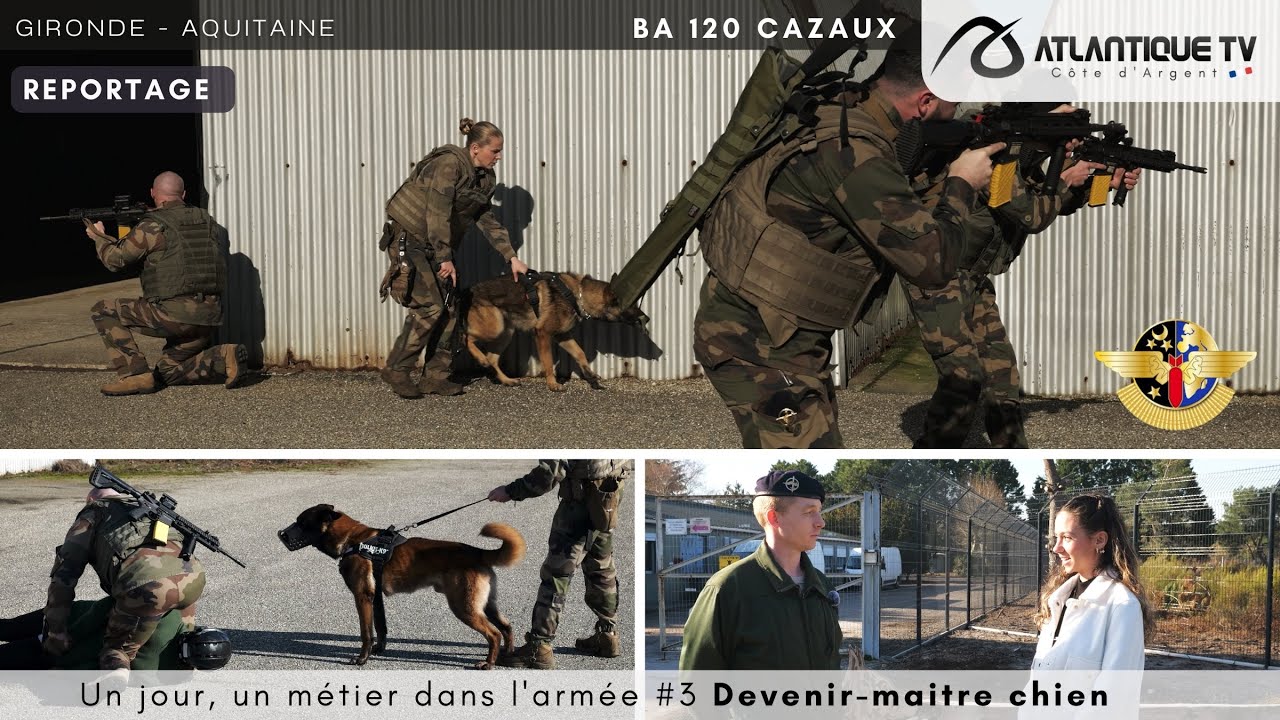 Un jour, un métier dans l'armée #3 Devenir-maitre chien 