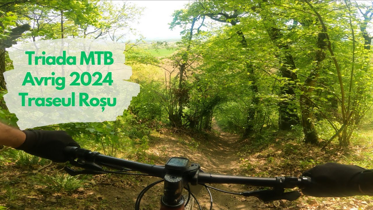 Aglomeratie pe single trail. Triada MTB Avrig 2024