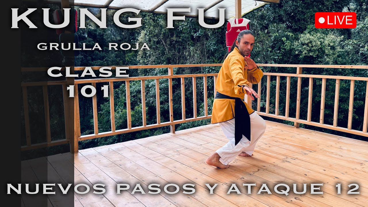 Grulla Roja técnica y ataque 12 / Repaso de Kung Fu Universal 2 - Clase 101 Kung Fu Wushu