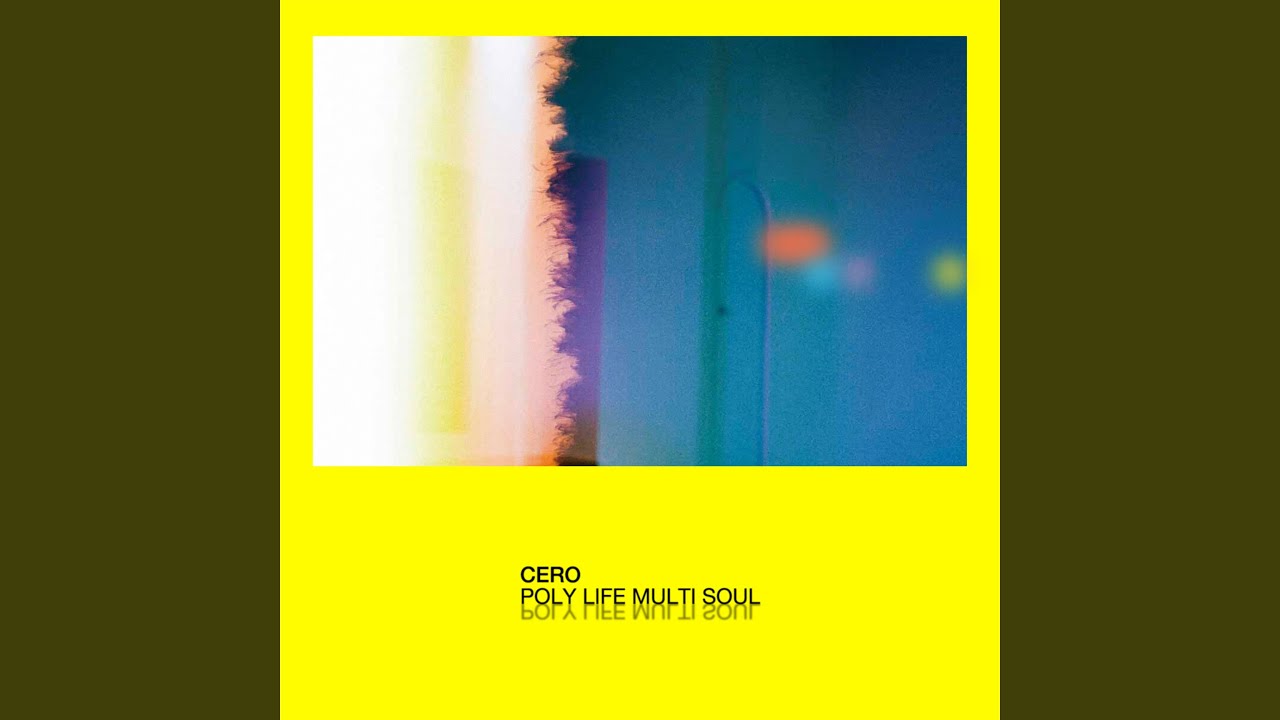 Poly Life Multi Soul