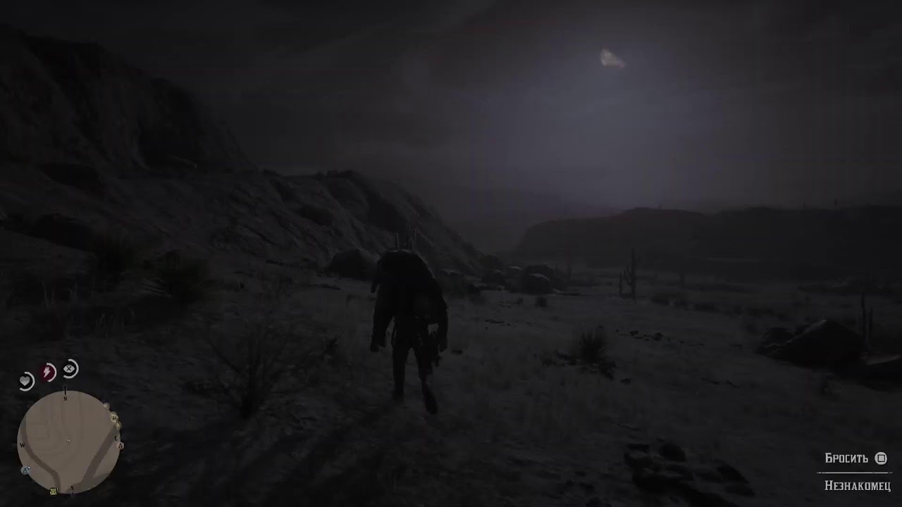 RDR2