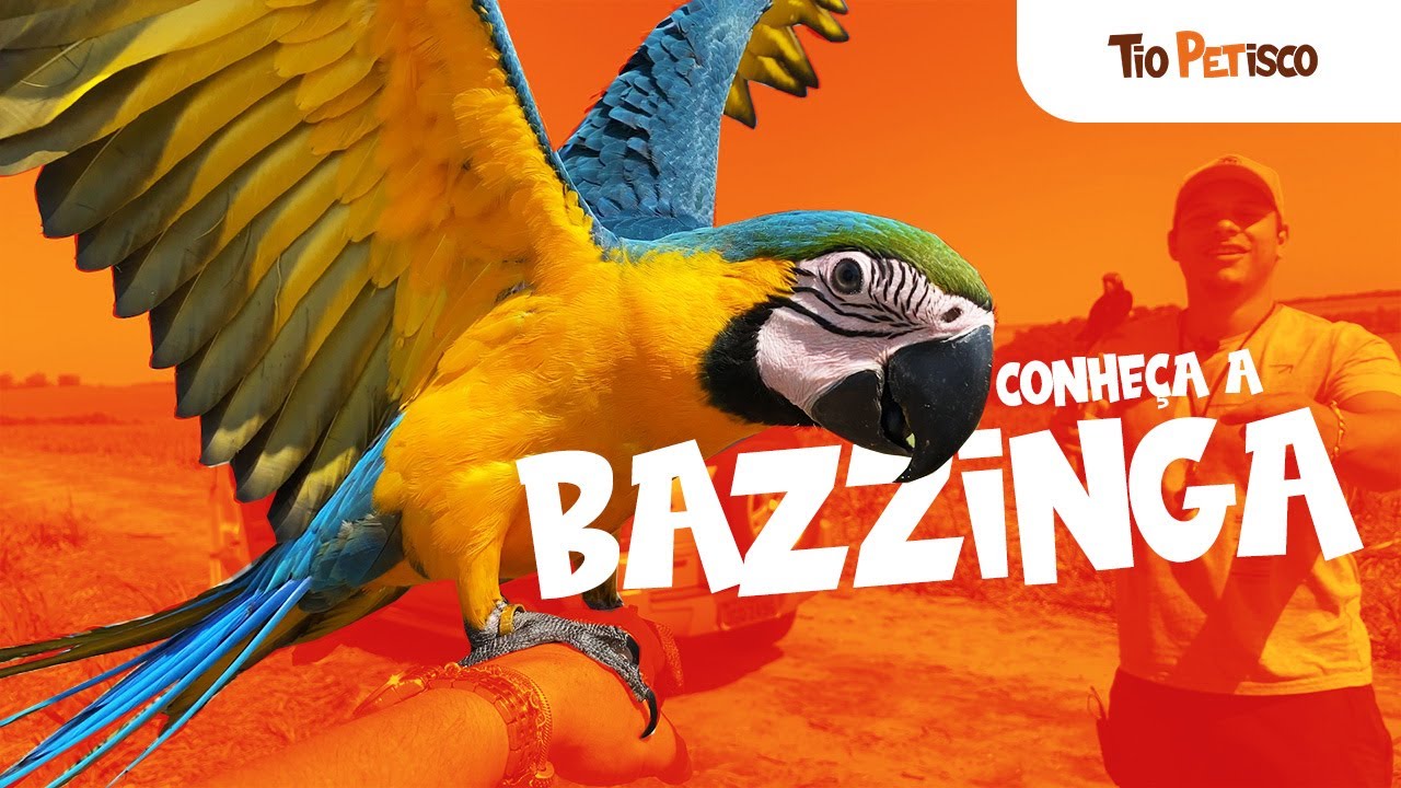 🦜 Arara Canindé Filhote: Como Cuidar, Alimentar e Aquecer a Ararinha (Guia Completo)