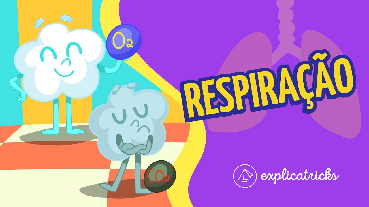 Como funciona a respira&ccedil;&atilde;o?