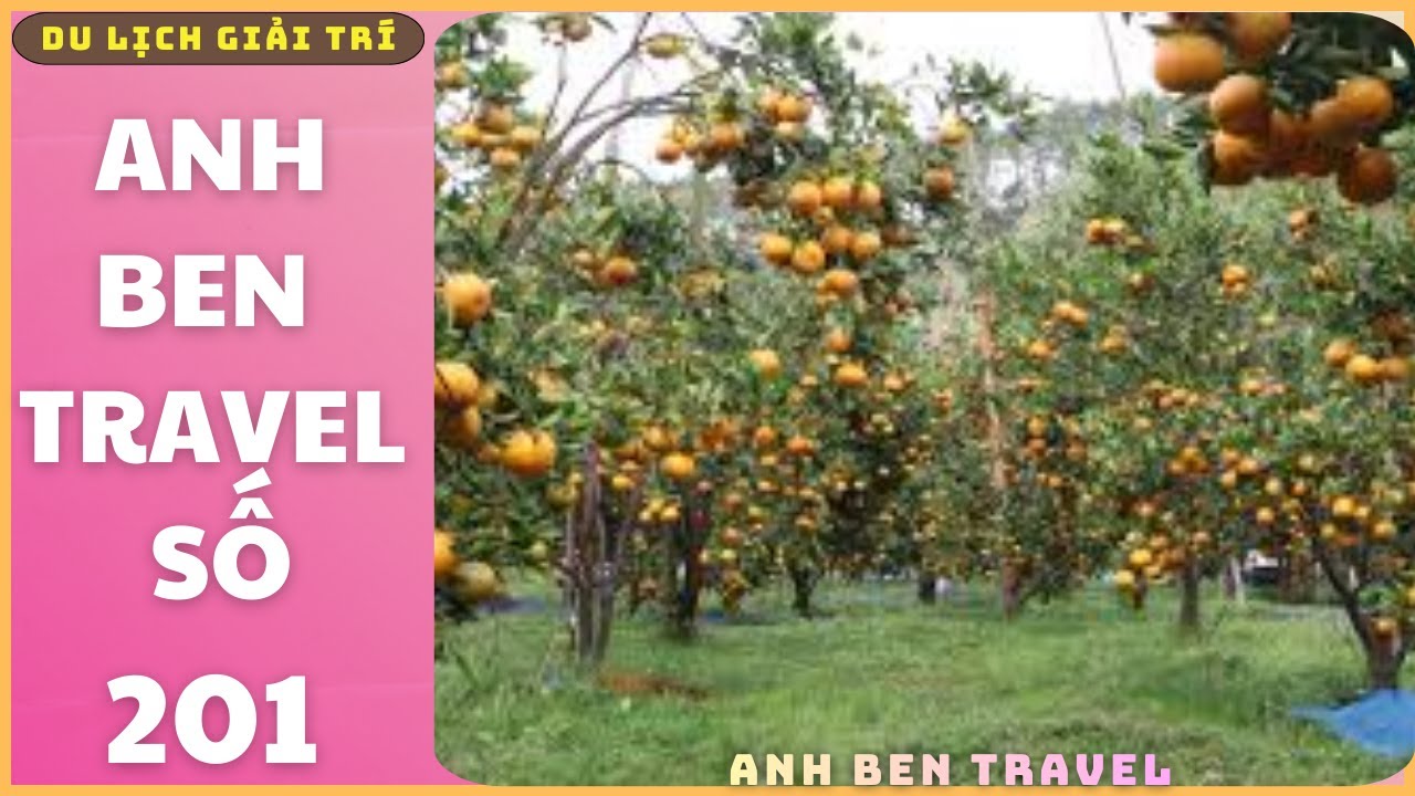Anh Ben Travel Số 201 - Tham Quan Vườn Trái Cây Thu Hoạch Tại Úc