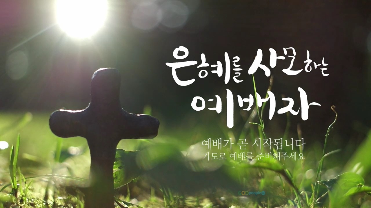 2026.2.22. 주일예배 [군산하늘소망교회]