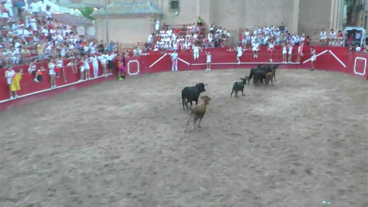 Milagro, Fiestas 2023, Día de la Mujer, Gran Prix plaza de toros 05/09/23