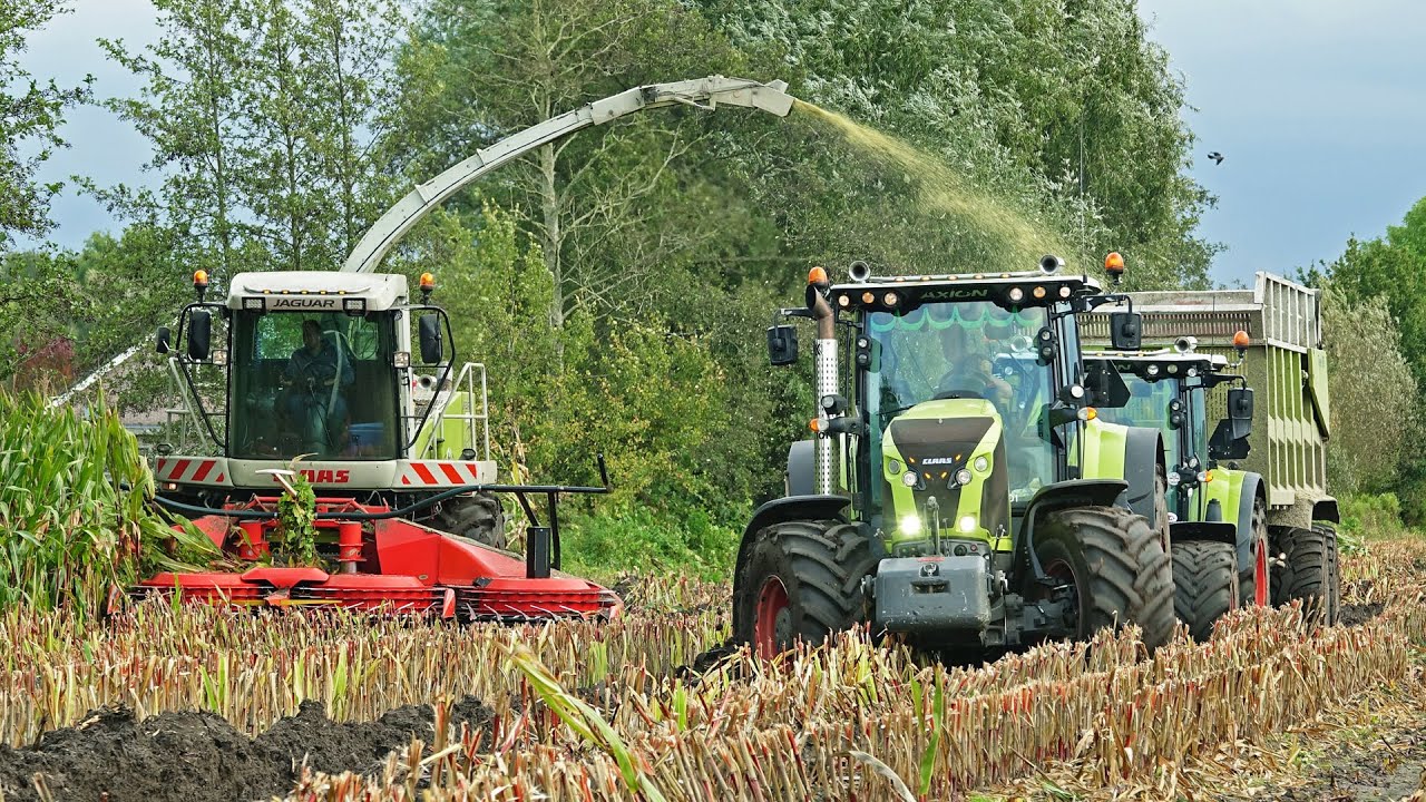 Mais Silage In The Mud | Claas Jaguar 900 + Case IH | Pleizier & Timmer | 2021