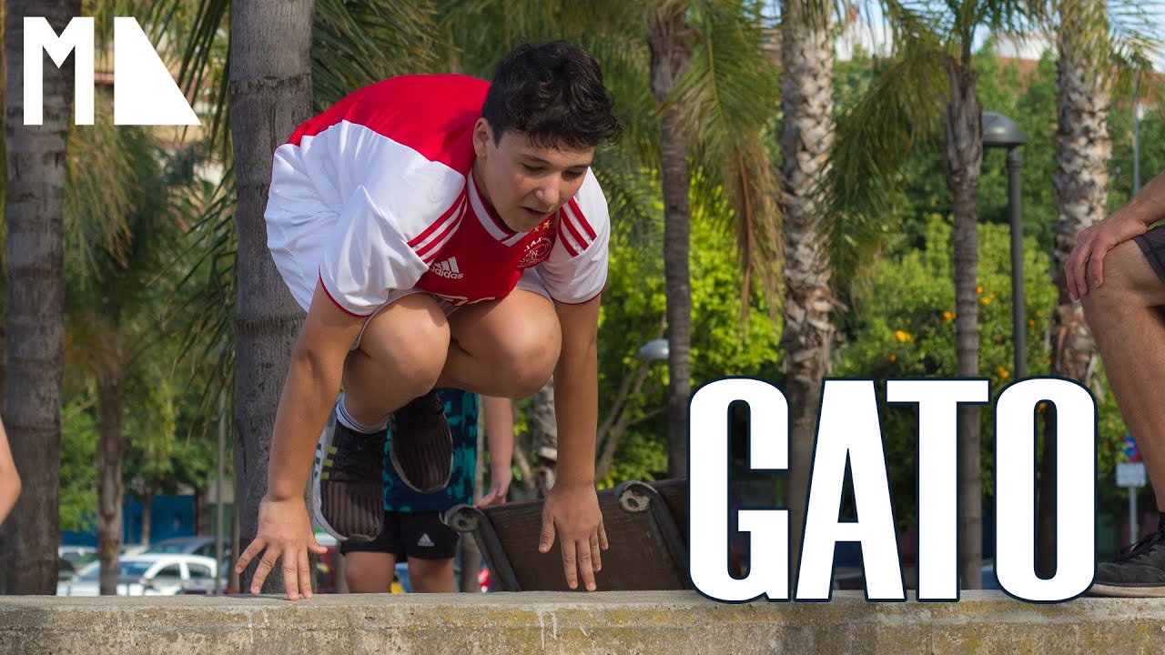 TUTORIAL DE PARKOUR #07 / GATO