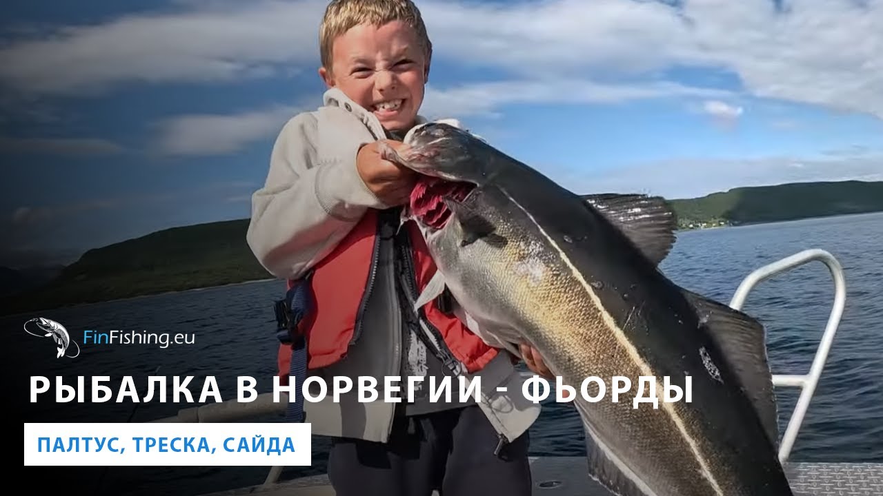 Рыбалка в северной Норвегии  Фьорды   палтус, треска, сайда. Fishing in Norway's Fjords