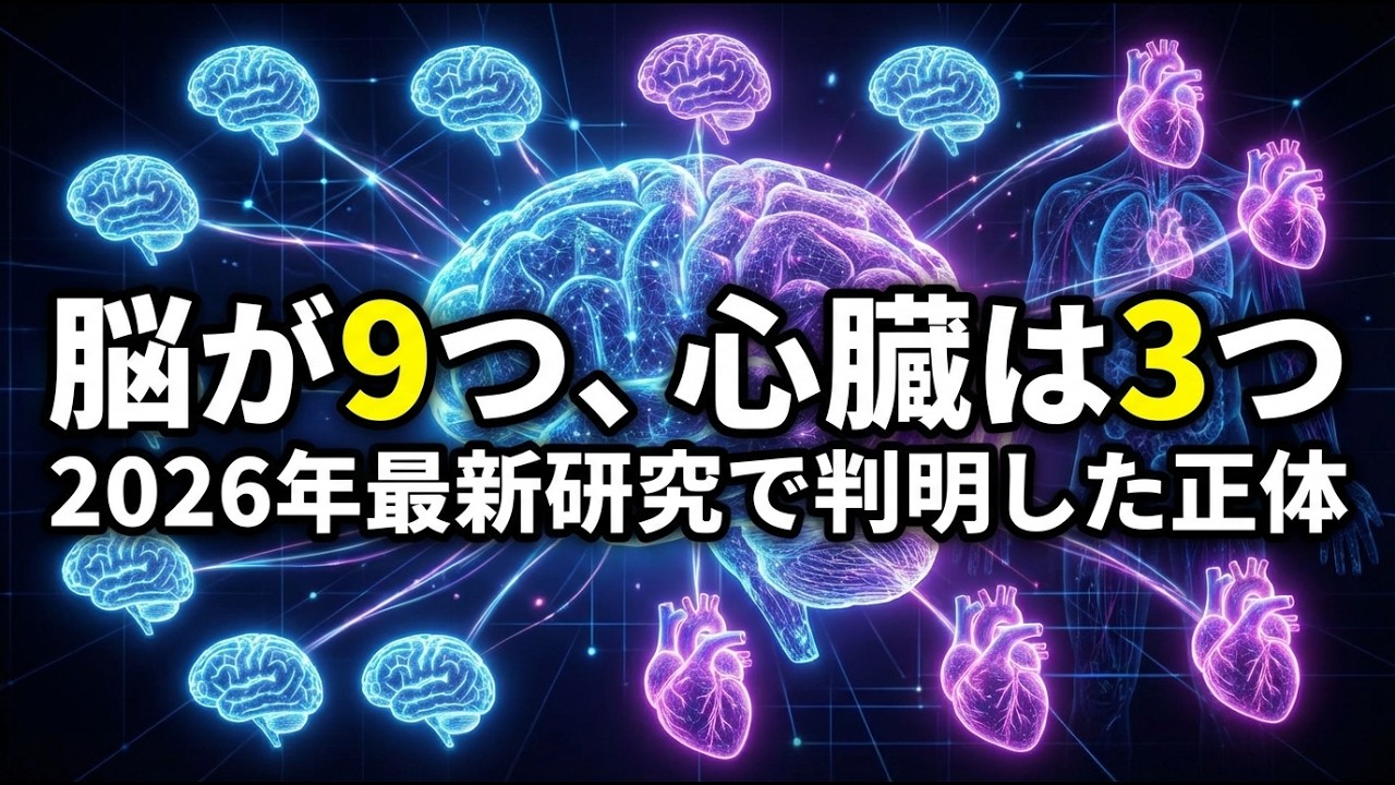 脳が9つ、心臓が3つ…「地球外生命体」と呼ばれるタコの驚愕の知性と最新研究の真実＃雑学＃動物＃animals