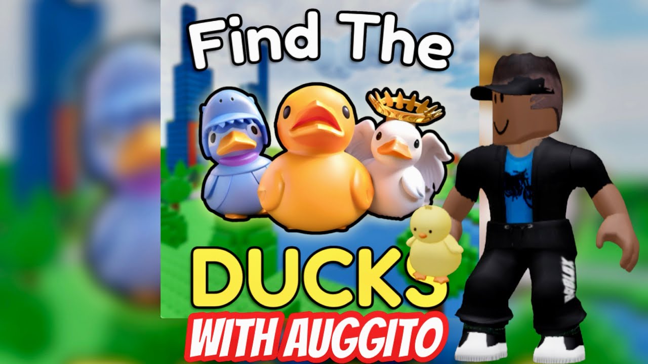 How to Find ALL Ducks in Find The Ducks with Auggito