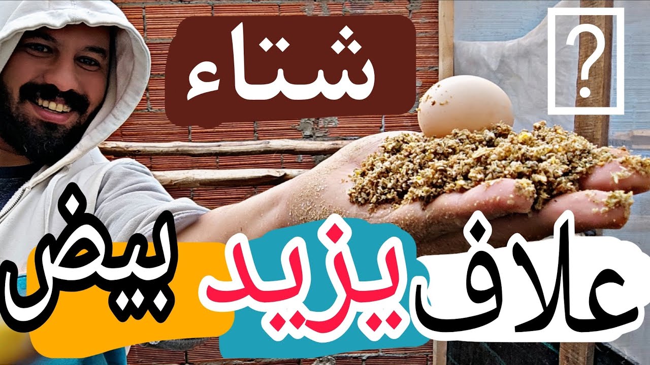 طريقة زياده انتاج البيض #إنتاج_البيض #تغدية_دجاج #أمراض_دجاج #تربية_دجاج #دجاج_بياض #بيض_موخصب