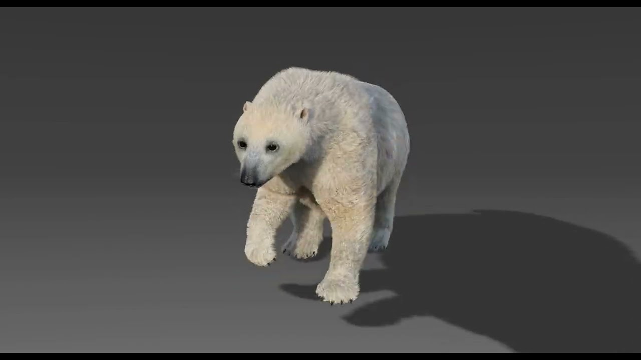 Polar bear running animation loop | Maya arnold | CG Creature artist 