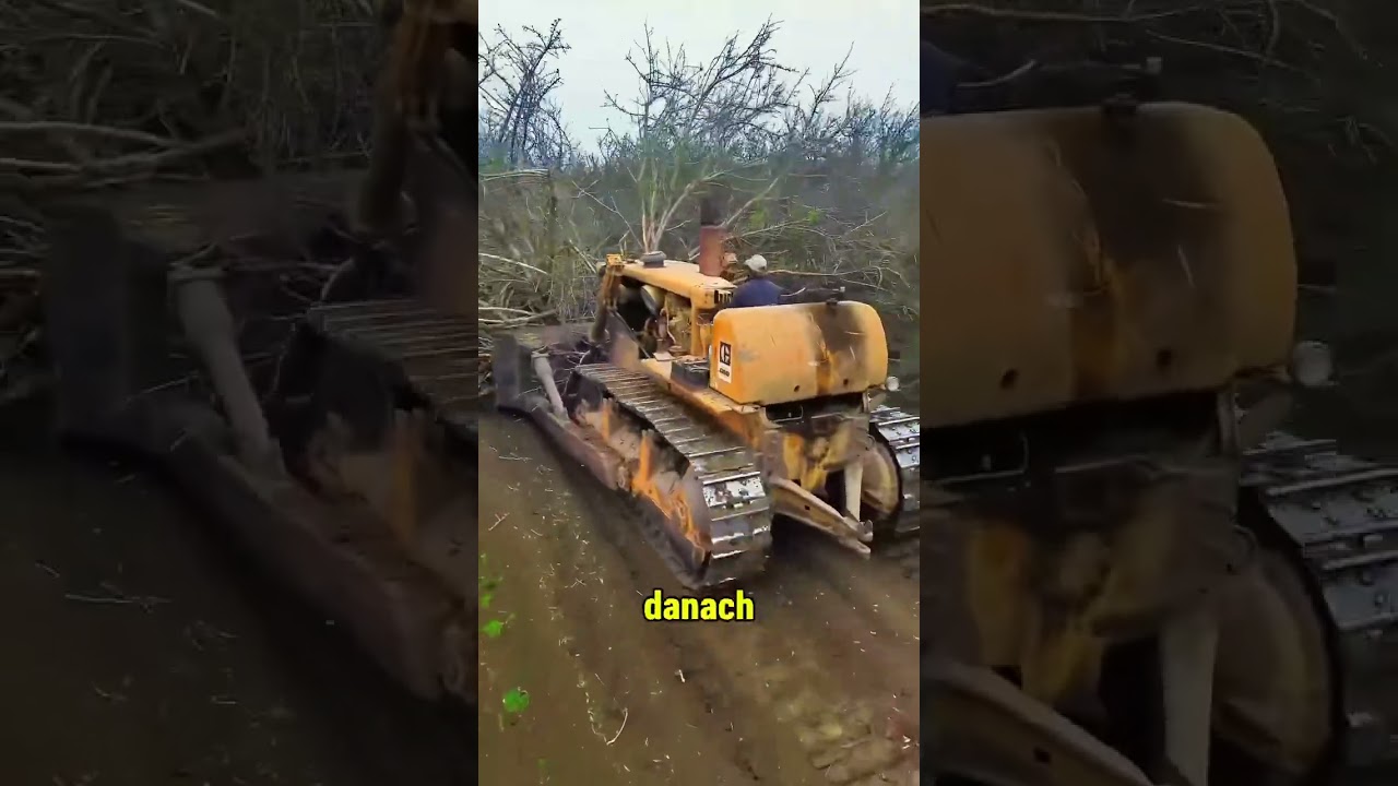 Ein kleiner Schubs &ndash; und der ganze Baum ist weg&hellip; Diese Maschine ist einfach irre.