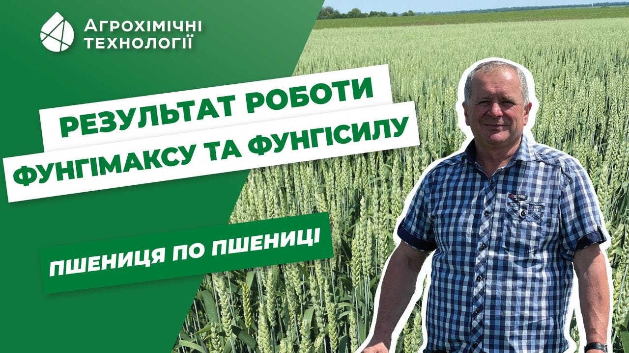 Результат роботи фунгіцидів 