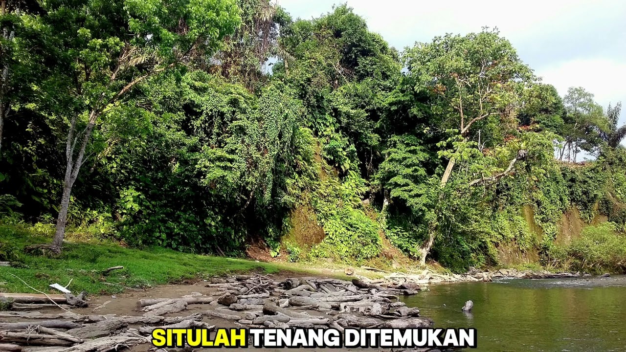 Tak Semua Harus Dimenangkan