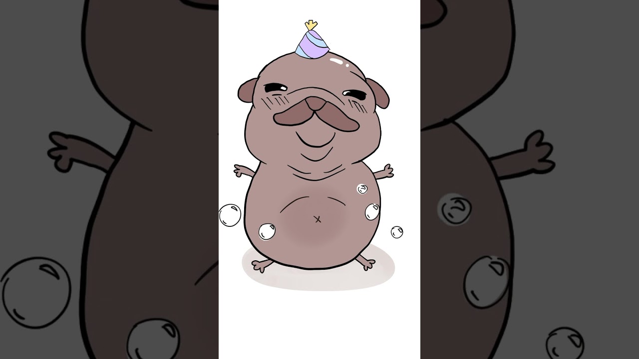 pibble!!