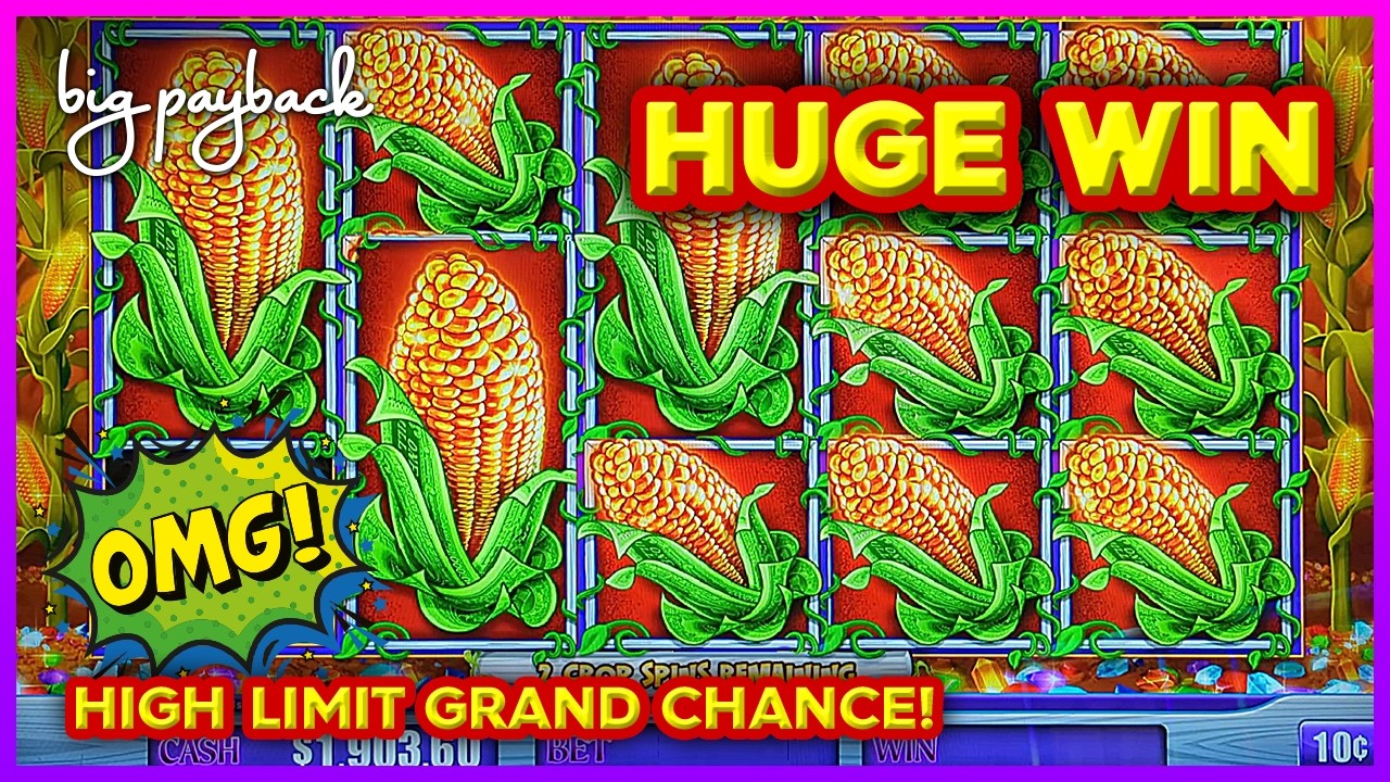 HIGH LIMIT Cash Crop → Grand Chance → HUGE WIN!
