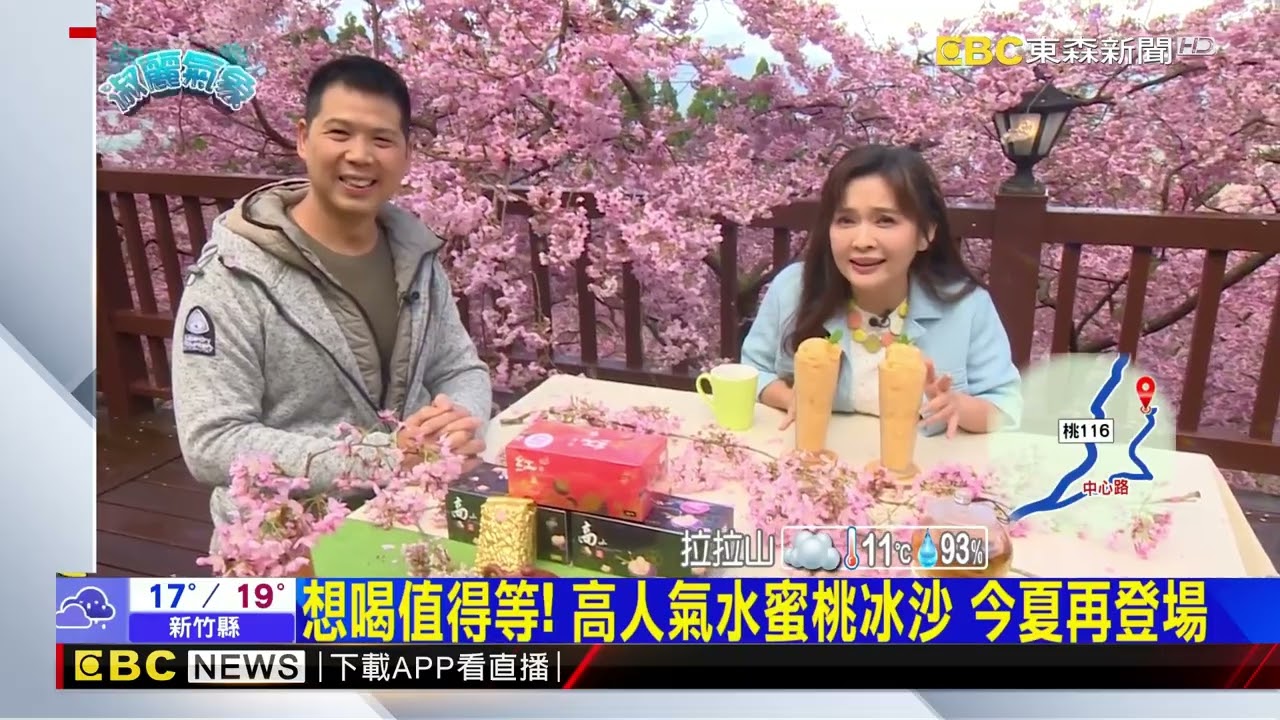 最新》春之饗宴! 北台灣絕美景點 拉拉山櫻花綻放中@newsebc