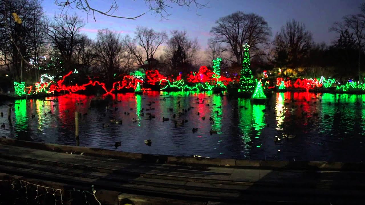 Wild Light Show 2013 - Cincinnati Zoo