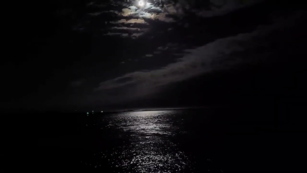 Moonlight For Daisy