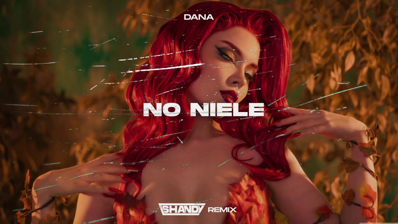 DANA - NO NIEŹLE (SHANDY REMIX)