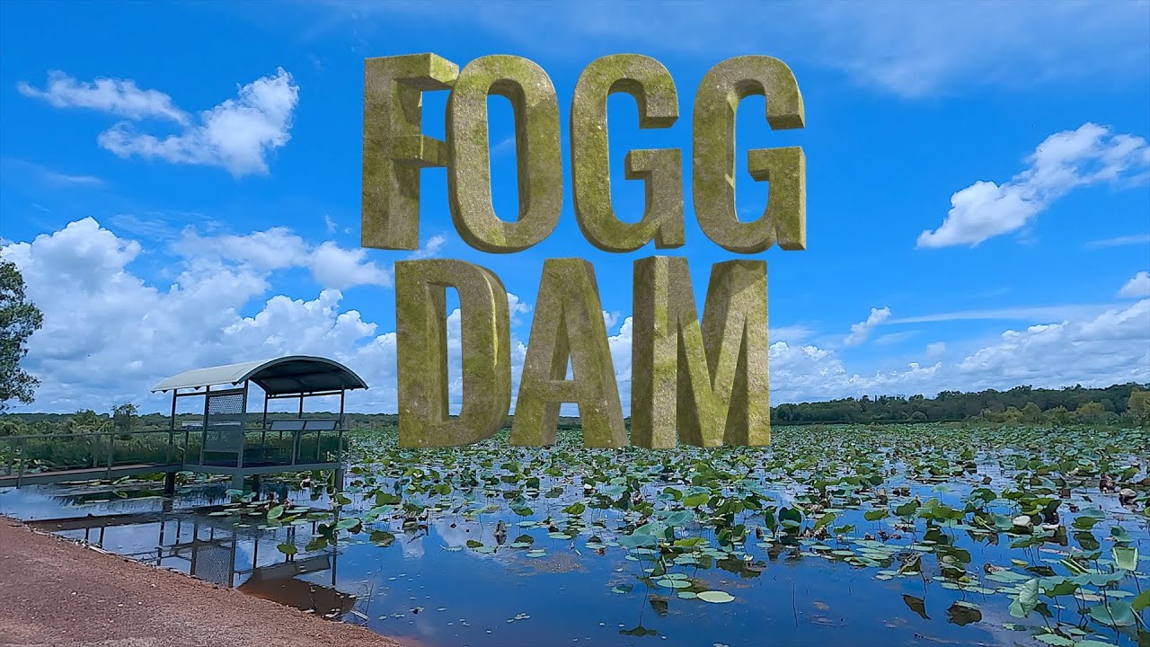 Uncovering the secrets of Fogg Dam: A wildlife and nature paradise near Darwin | 4K [2023]