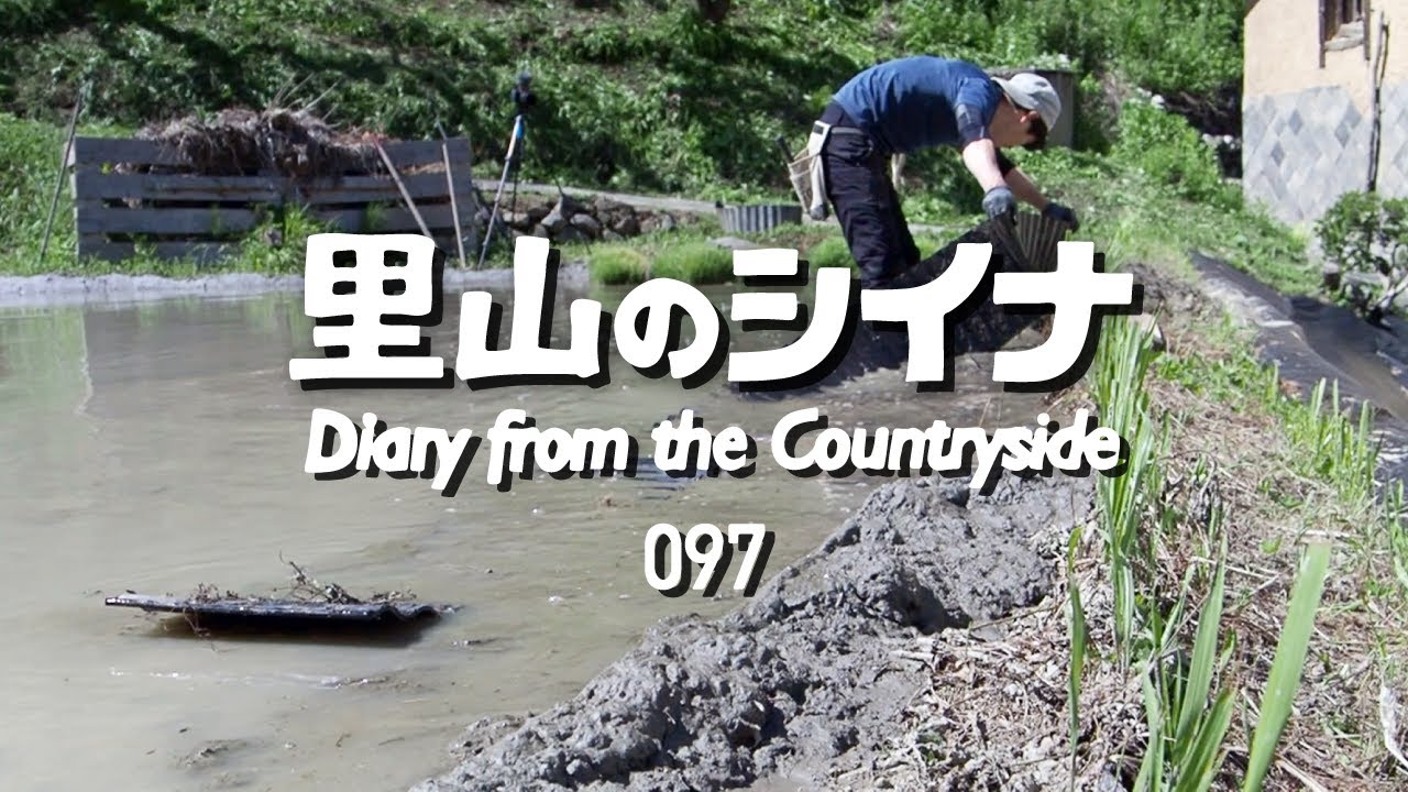 田舎暮らし 097：放棄された田んぼを直して田植え