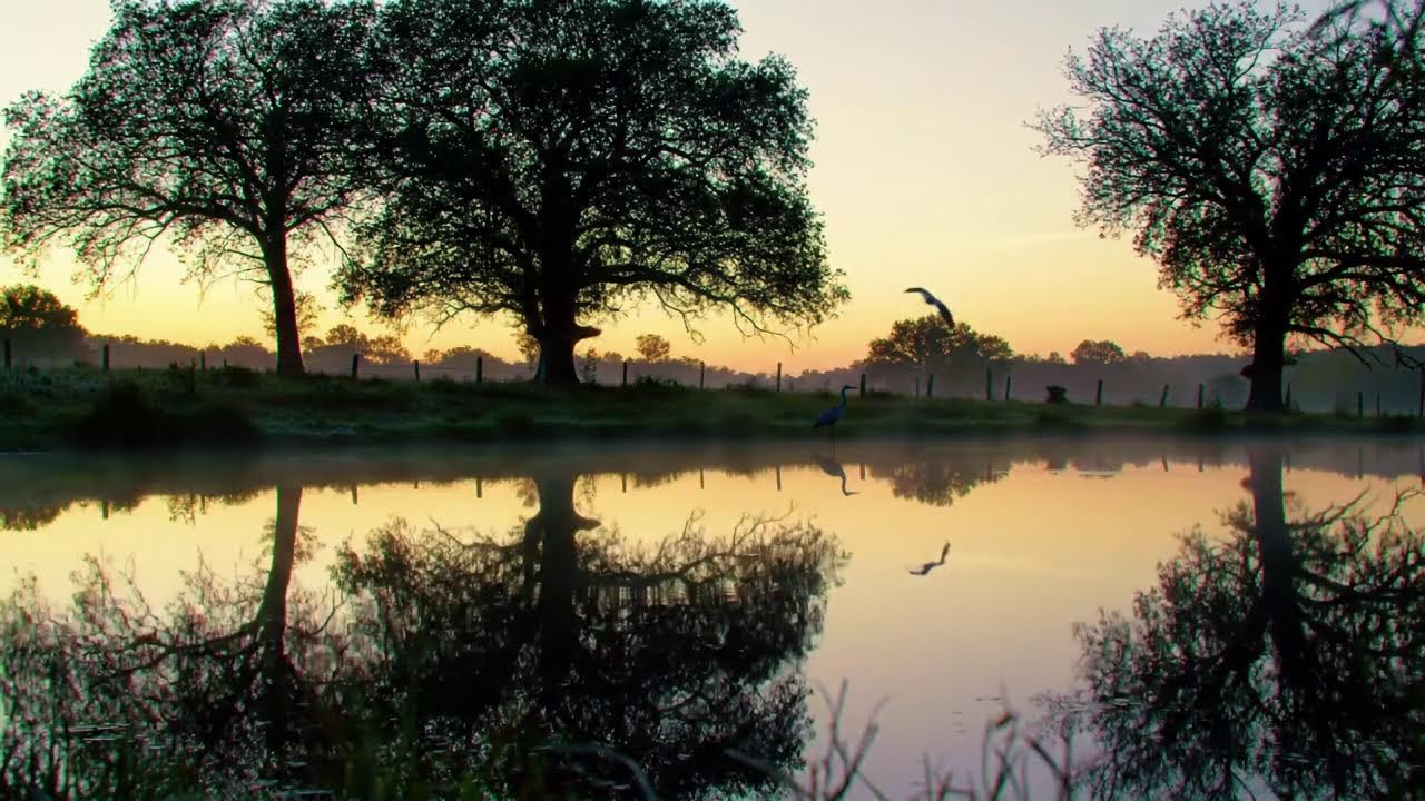 Country Music Spring Awakening with Merle Haggard, George Jones & Tammy Wynette