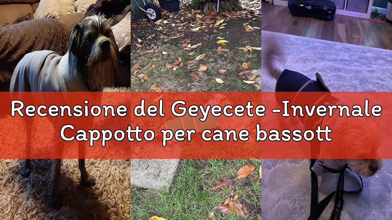 Recensione del Geyecete -Invernale Cappotto per cane bassotti, con fodera in pile caldo, abbigliamen
