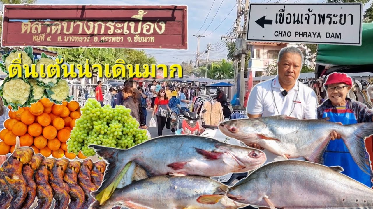 EP.170 ตลาดบางกระเบื้อง เขื่อนเจ้าพระยา ตื่นเต้นน่าเดินมาก ของดีเมืองชัยนาท