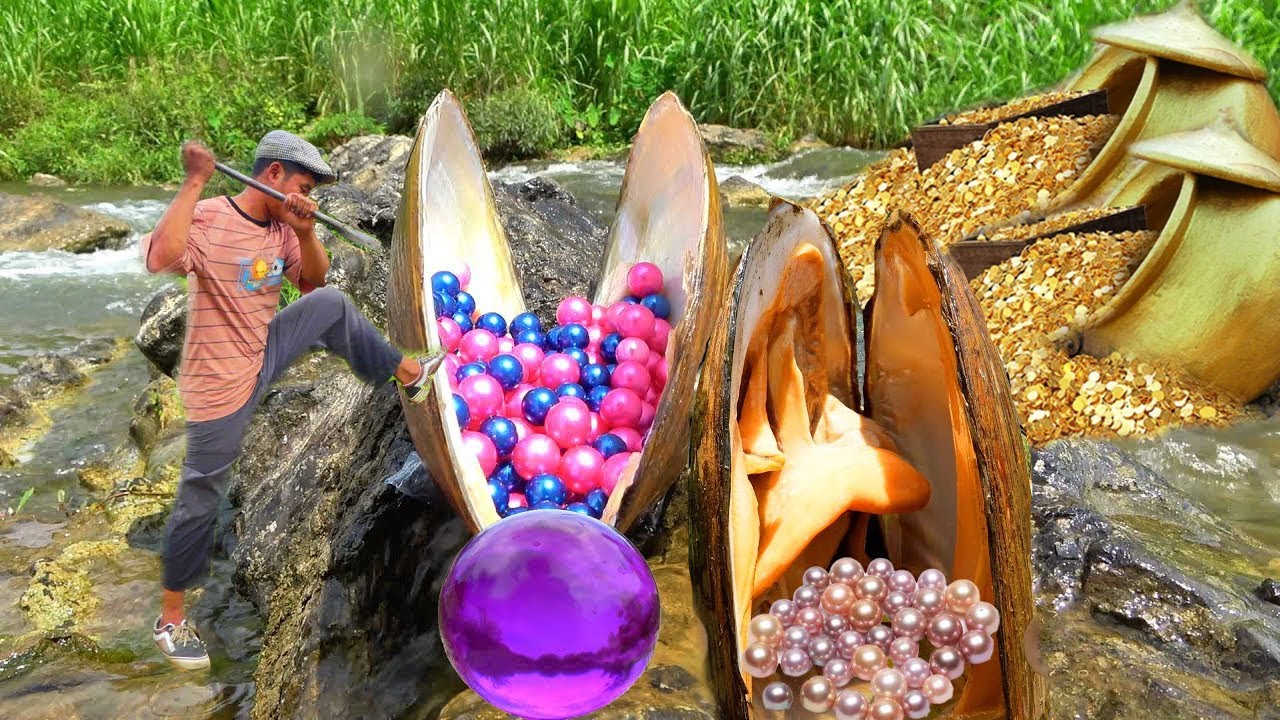A boy explores a giant crab and is fascinated by glittering pearls and gold treasures