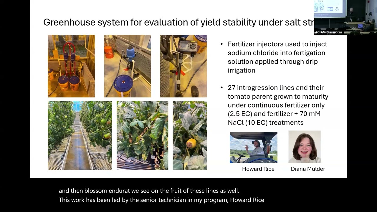 Greg Vogel: Discovery of salinity tolerance in tomato from a desert-adapted wild relative