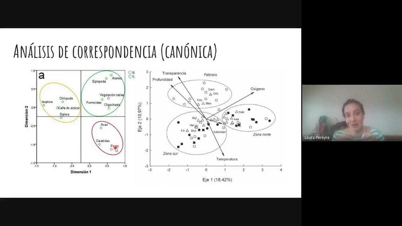4  Laura Pereyra Análisis de correspondencia